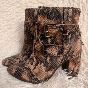 Freebird by Steven Joey